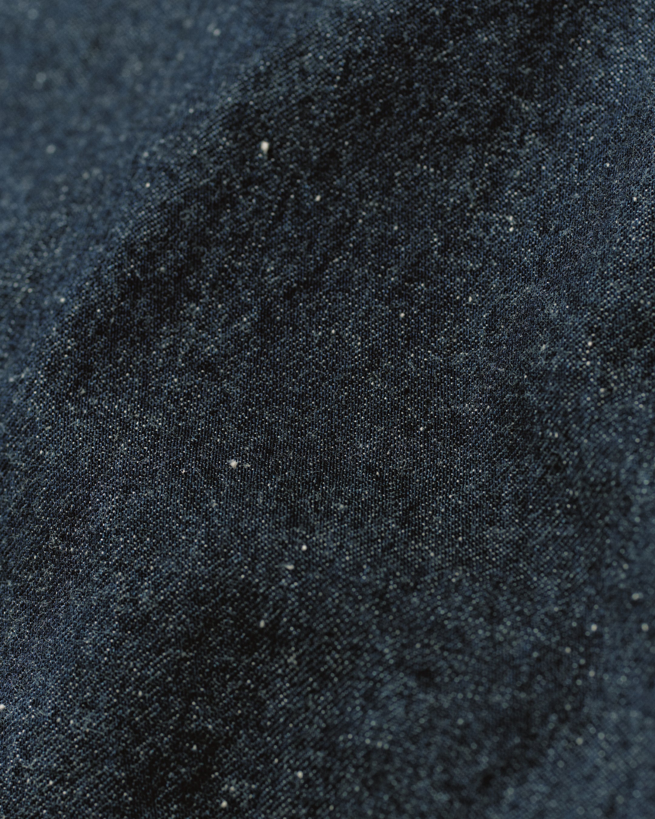 DENIM PAINTER PANTS